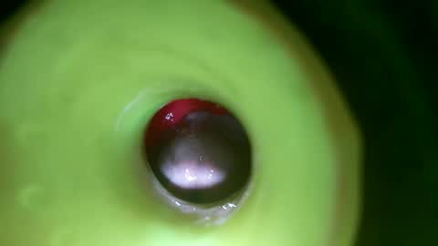 bigmoneycorey online show from 04-01-26, 07:11