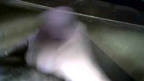 billpark20 online show from 06-12-26, 04:00