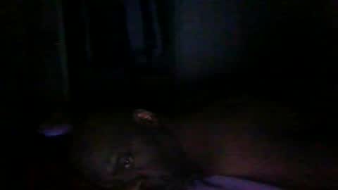 blackteddybear online show from 03-09-26, 12:58
