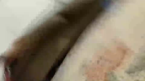 BlakeAndSkylar online show from 05-22-26, 08:21