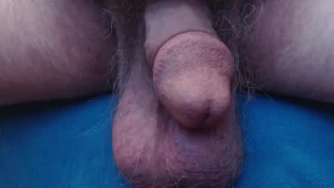 bluebee420 online show from 10-22-25, 08:58