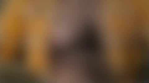 Snapshot of bmcmg chatting on 07-19-26, 01:42 Brian mc online show from 07-19-26, 01:42