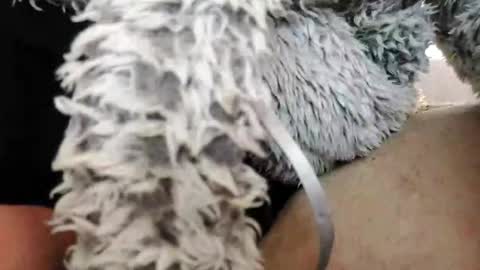 Bomberto online show from 02-10-25, 01:55