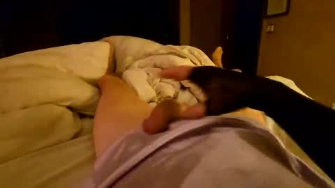 Snapshot of bono0155 chatting on 04-06-26, 10:05 silky sissy sarah online show from 04-06-26, 10:05