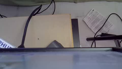 LOLAH online show from 05-05-26, 10:12