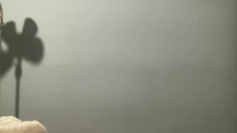 boselythornton1 online show from 03-29-26, 06:57