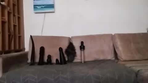 Snapshot of boy7oyy chatting on 01-31-25, 07:29 Bes7assquirt online show from 01-31-25, 07:29