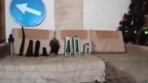 Snapshot of boy7oyy chatting on 02-22-25, 07:14 Bes7assquirt online show from 02-22-25, 07:14