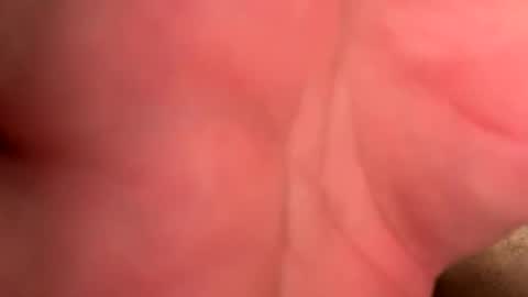 Branden online show from 04-15-26, 09:59