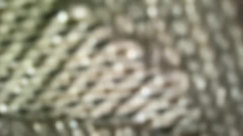 brandonconrad online show from 02-07-26, 06:44