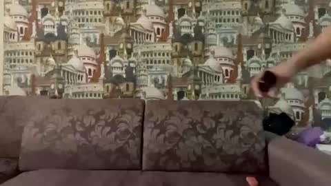 brettcarioscia online show from 07-21-26, 11:01