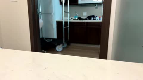 brickmeup online show from 04-08-26, 10:32