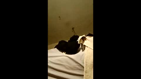 bricks4u online show from 04-18-26, 03:43