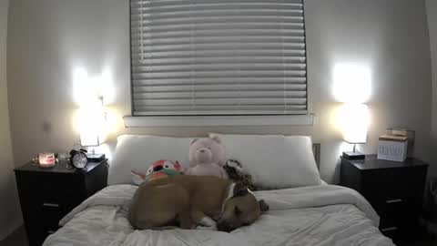 Bridget Black online show from 06-20-26, 01:41