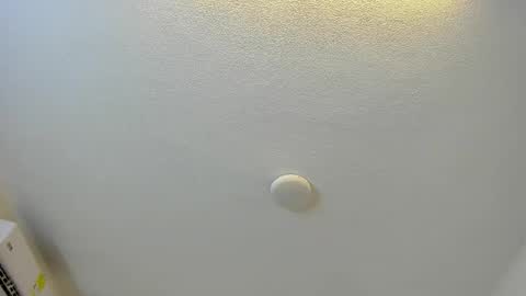 Brittany  online show from 03-01-26, 08:00