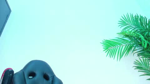 BRIYIT     online show from 02-01-25, 06:32