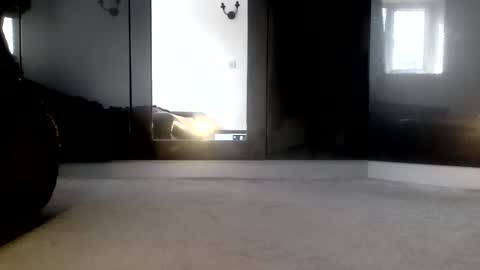 Brown Cros dresser Sissy online show from 04-05-26, 12:02