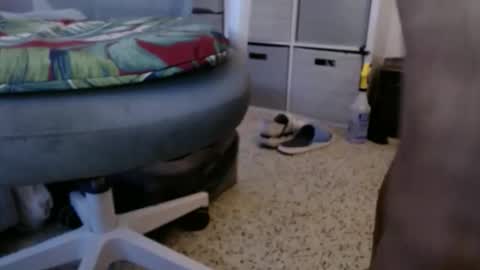 bruceb124u online show from 05-24-26, 10:48