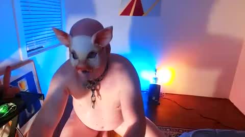 bottom freak online show from 02-08-25, 10:29