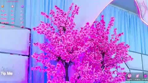 Bunny online show from 03-04-26, 03:12