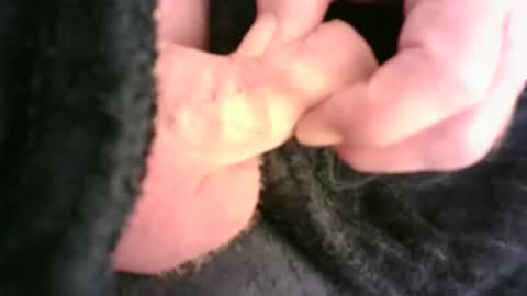 Snapshot of burnside13 chatting on 11-23-25, 12:32 Hamish online show from 11-23-25, 12:32