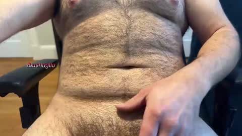 bushrigilo online show from 01-02-25, 06:01