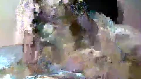 butler_yung online show from 05-12-26, 09:12