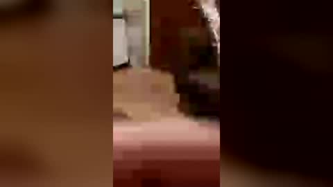 cachondo22fu online show from 07-26-26, 02:42
