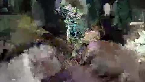 CameronRays online show from 04-25-26, 11:57