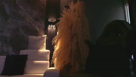 Snapshot of camiloalvarezzz3 chatting on 06-23-26, 12:03 CAMILO online show from 06-23-26, 12:03