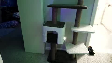 Snapshot of cammyman6900 chatting on 05-12-26, 04:31 cammyman6900 online show from 05-12-26, 04:31