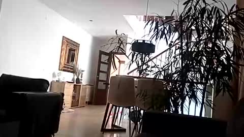 Snapshot of carlitito1 chatting on 04-15-26, 09:16 carlitito1 online show from 04-15-26, 09:16