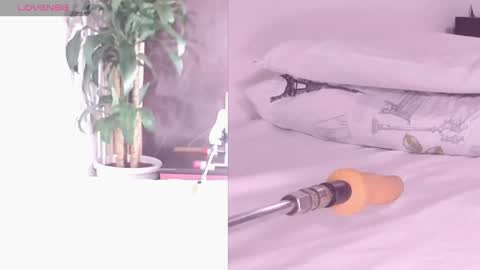 Carol online show from 04-26-26, 12:03