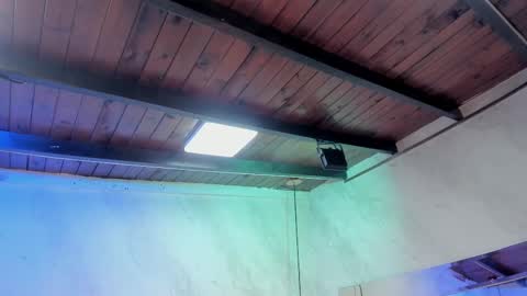 Carolina online show from 02-01-26, 03:27