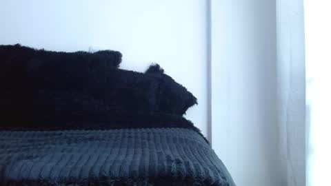 caroline online show from 04-01-26, 01:41