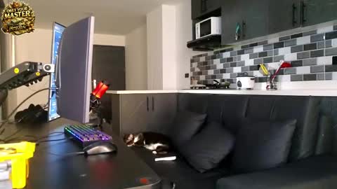 cash_master777 online show from 05-21-26, 01:07