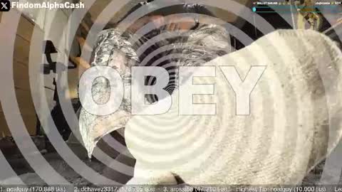 Snapshot of cashmastergrey chatting on 05-15-26, 04:08 Master Grey online show from 05-15-26, 04:08