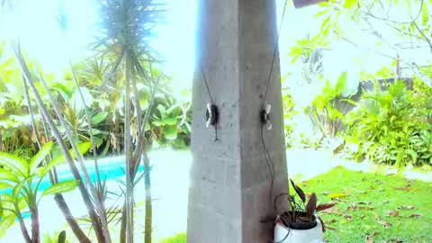 Hello my name is Cassie and my friend Nilo is also here online show from 02-18-26, 01:12