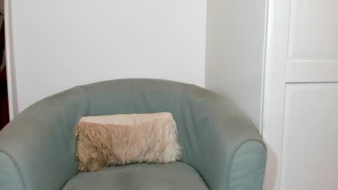 cassiecute - onlyfans account online show from 07-13-26, 08:55