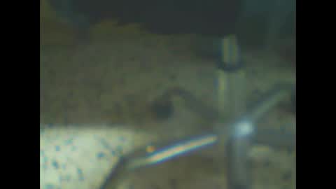 castells online show from 02-10-26, 04:44