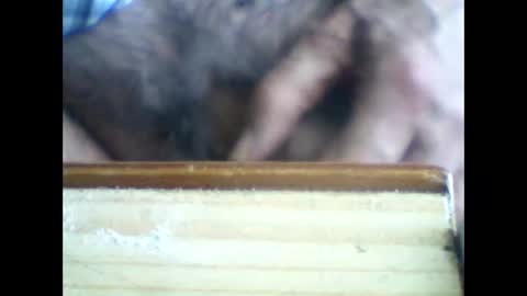 Snapshot of castells chatting on 06-05-26, 02:56 castells online show from 06-05-26, 02:56