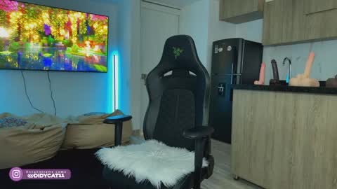 Snapshot of cat_didy chatting on 04-20-26, 01:47 Didy online show from 04-20-26, 01:47