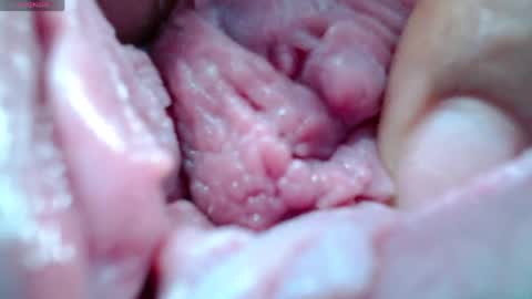 Catherina   online show from 04-30-26, 08:15