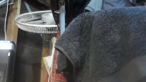 caughtnaked online show from 04-01-26, 02:25