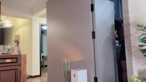 celestisse1 online show from 04-21-26, 11:27