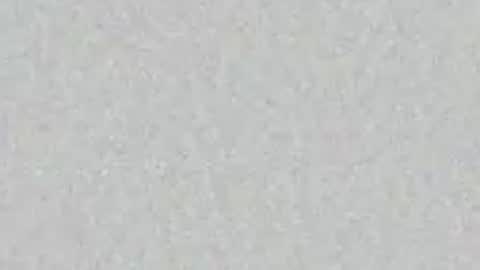 Snapshot of chaddydaddy99 chatting on 04-06-26, 07:42 oilmeup online show from 04-06-26, 07:42