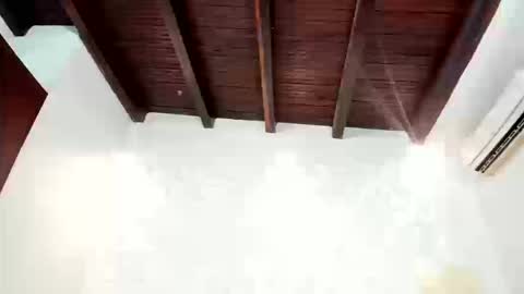 Charlot  online show from 03-11-26, 09:32