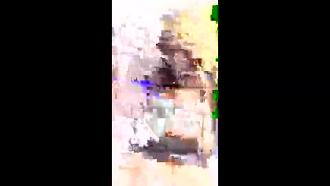 chinnu75 online show from 03-23-26, 06:56