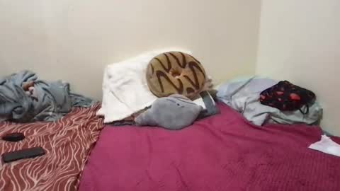 chris_jake1 online show from 03-14-26, 11:04