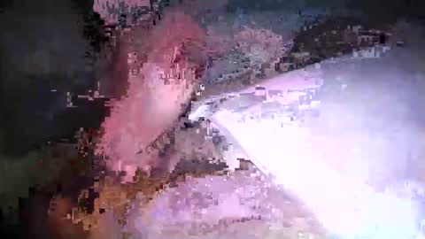 Snapshot of cicuta15 chatting on 03-17-26, 01:10 cicuta15 online show from 03-17-26, 01:10